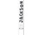 Personalized Hippo 48" Kid's Junior White Pool Cue