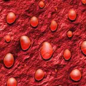 ArtScape 9' Red Drops Pool Table Cloth