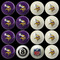 Minnesota Vikings Pool Balls