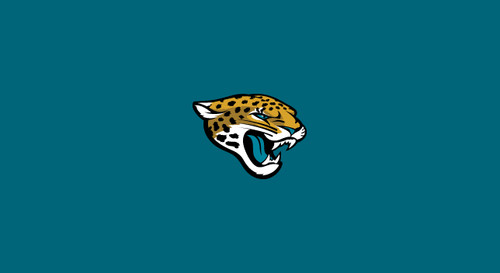 Jacksonville Jaguars Pool Table Felt for 8 foot table