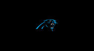 Carolina Panthers Pool Table Felt for 8 foot table