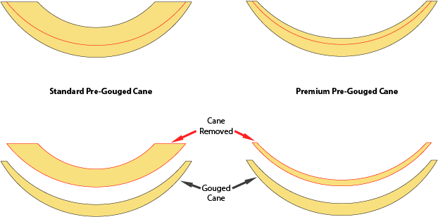 pregouge-illustration2.png