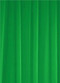 Kelly Green Sheer Dress Fabric