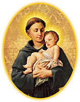 companions.png companions.png