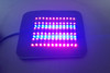 Red, Infrared and Blue LED light therapy pad for pain relief, showing flexible design