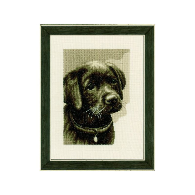 Labrador Puppy Cross Stitch Kit By Vervaco - MariesCrossStitch.co.uk