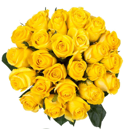 Yellow Ecuadorian Roses Manila | Send Roses Philippines