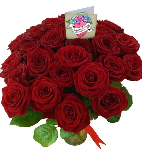 24 Red Ecuadorian Roses Delivery Manila Online Flower Shop Ph