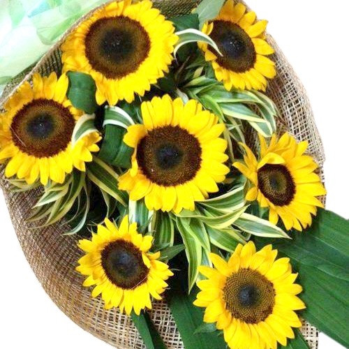 Send Sunflower Bouquet Delivery Manila Flower Delivery Philippines