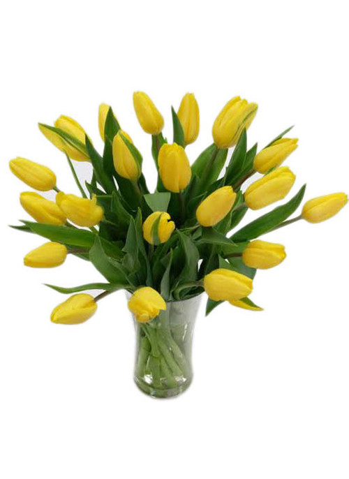 Yellow Tulips Bouquet  Send Tulips Manila  Philippines Online Florist