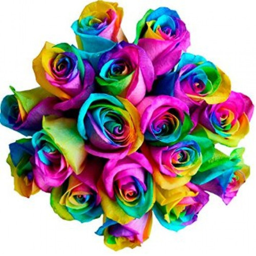 Send Rainbow Ecuadorian Roses Manila Philippines Rose Delivery