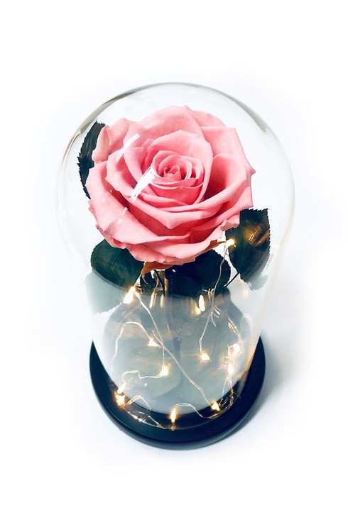 Pink Preserved Rose Glass Dome Online Flower Shop Delivery Manila