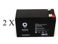 EFI LanGuard 600  battery set