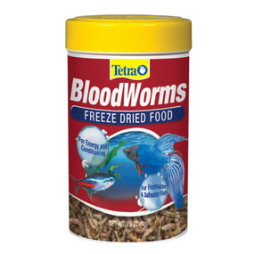 Turtles Go Crazy for Bloodworms
