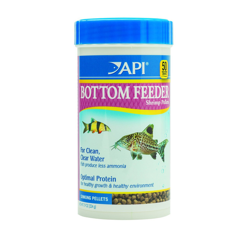 api bottom feeder shrimp