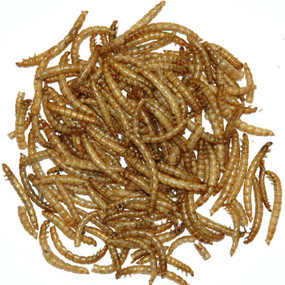 Freeze Dried Meal Worms