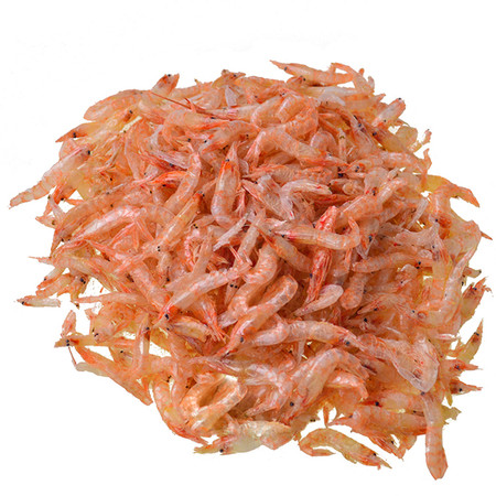 We offer the best freshwater shrimp for sale for your turtle. 