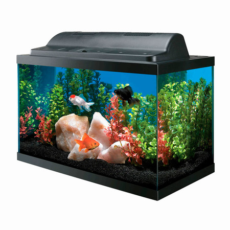 Aqueon Basic 10 gallon aquarium kit