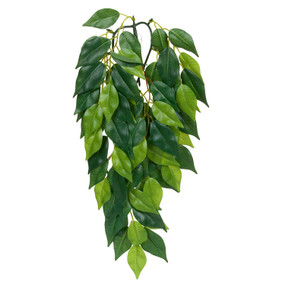 Exo Terra Ficus Silk Plant