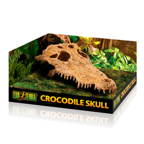Exo Terra Crocodile Skull Hiding Place