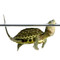 We offer baby golden thread turtles and many more!