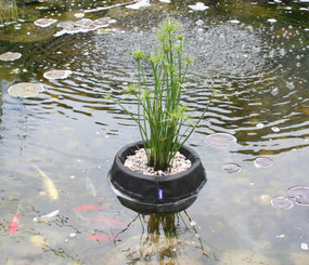Floating Plant Basket Single