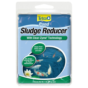 tetra algae pond myturtlestore