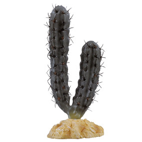 Zilla Lady Finger Cactus