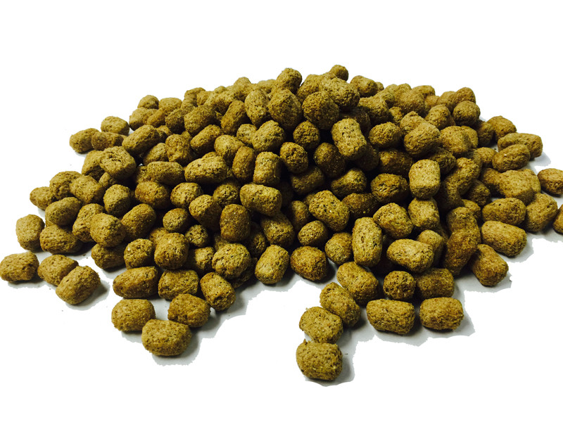 tortoise pellets