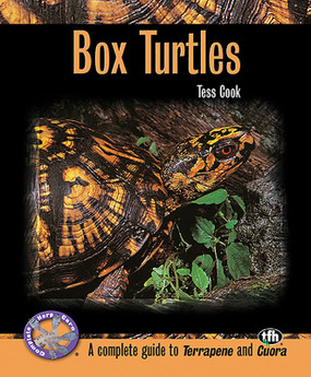 TFH Box Turtles by Tess Cook