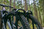 Kuat PX22G Piston Pro X Galaxy Gray Bike Rack 2" - Rack Stop, North Vancouver