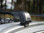 Yakima 8000464 Sightline FX X-Large Cross Bar - Rack Stop, North Vancouver