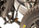 RockyMounts 10002 BackStage Bike Rack - Rack Stop, North Vancouver