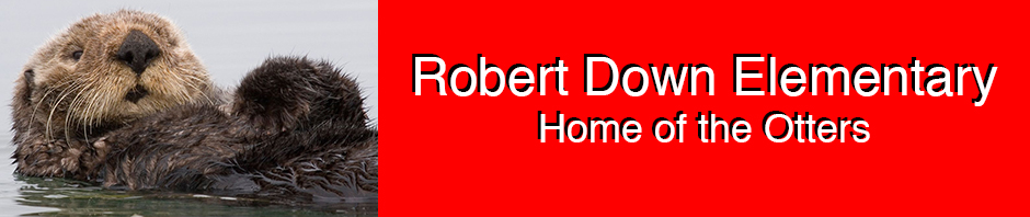 rds-header-nov2015.jpg