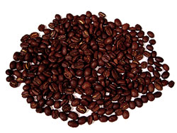 Kopi Luwak Civet Coffee Len s Coffee