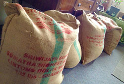 Sacks of coffee beans from Sumatra