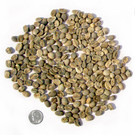 Vietnamese Dalat Blend traditional coffee, green unroasted ##for 1lb (3 lb also available)##
