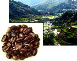 Mountainous region of the Philippines where Liberica is grown ##for 8oz##