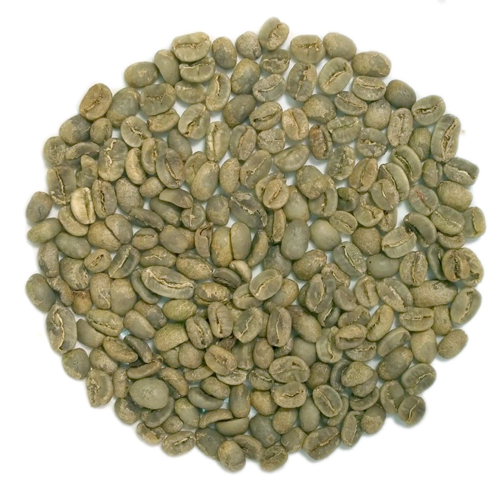 Honduras La Unión Arabica Green Unroasted Coffee beans Len's Coffee LLC
