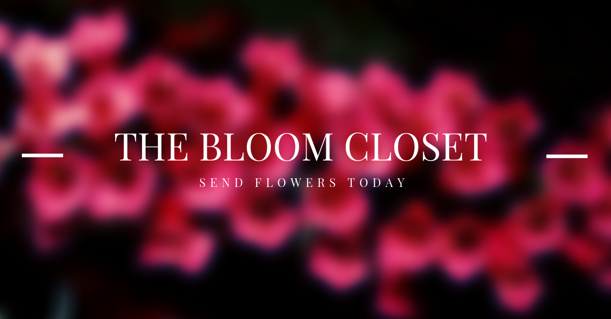 The Bloom Closet City Wide Delivery in Augusta, Martinez, Evans