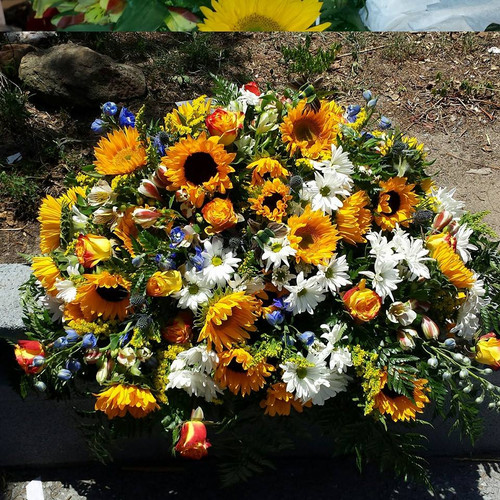 Over 20 Sunflowers, White Daisies,  Dozen Roses, Blue Delphinum and Accent Flowers. Full and Lush Casket Spray. 