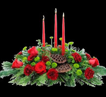 The Bloom Closet's Christmas Roses carnations Centerpiece