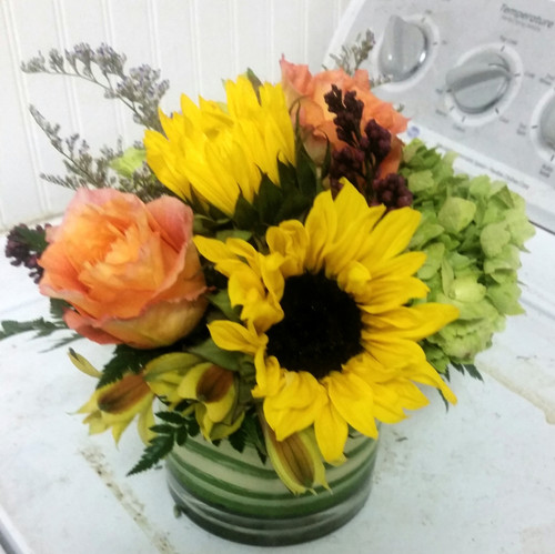 Designers Choice Short Cylinder from The Bloom Closet Florist in Augusta, GA. 