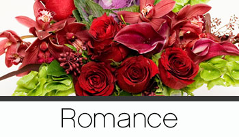 Anniversary and Romance