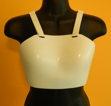 Women's Chest Protector, A single piece of hard plastic that contours to the area between the clavicle and sternum.  Mandatory for females in competition. 
Front view