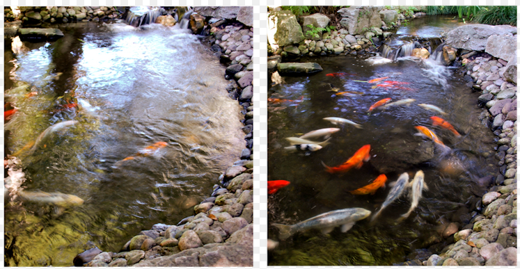 polarized sunglasses see through water