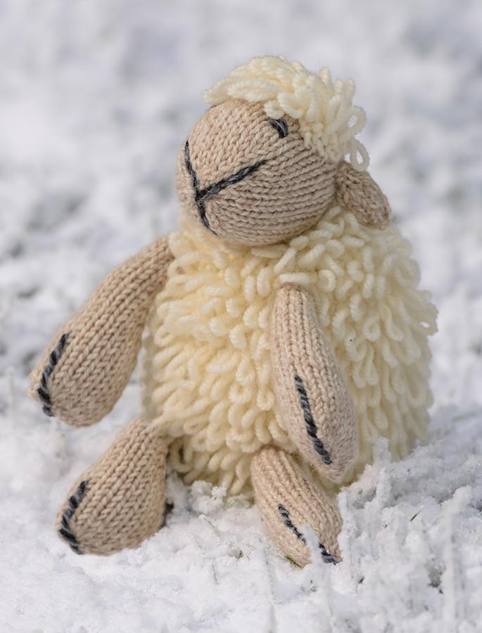 sheep teddies