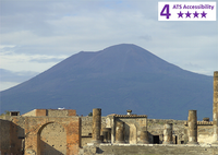 Private Accessible 8 hour Naples Shore Excursion to Pompeii and Vesuvius