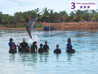Private Accessible 3.5 hour Nassau Dolphin Experience