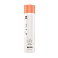 StyleArt Dry Shampoo 175g